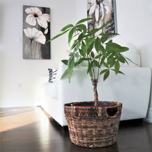 Load image into Gallery viewer, ESCODA Round Storage &amp; Utility Baskets
