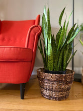 Load image into Gallery viewer, ESCODA Round Storage &amp; Utility Baskets
